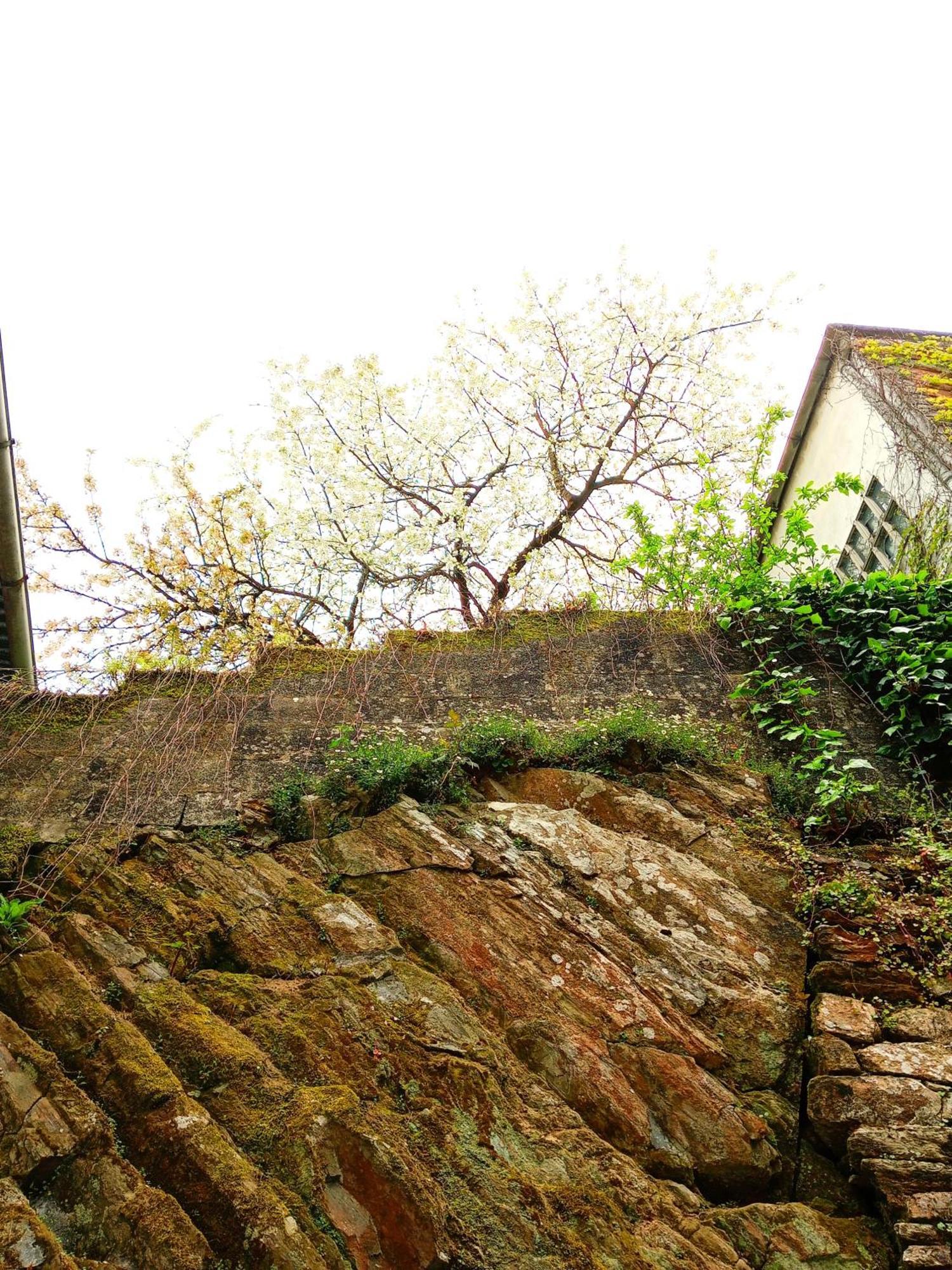 Albergue San Lazaro Sarria Luaran gambar